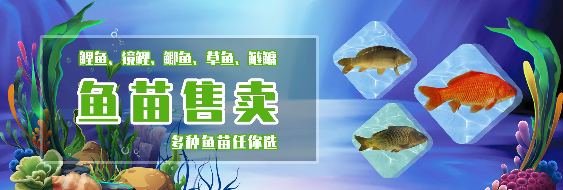 &#30343;&#20896;
