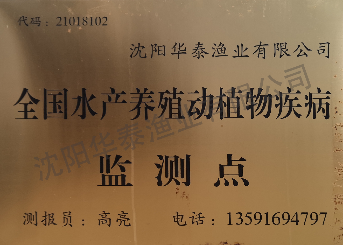 &#30343;&#20896;