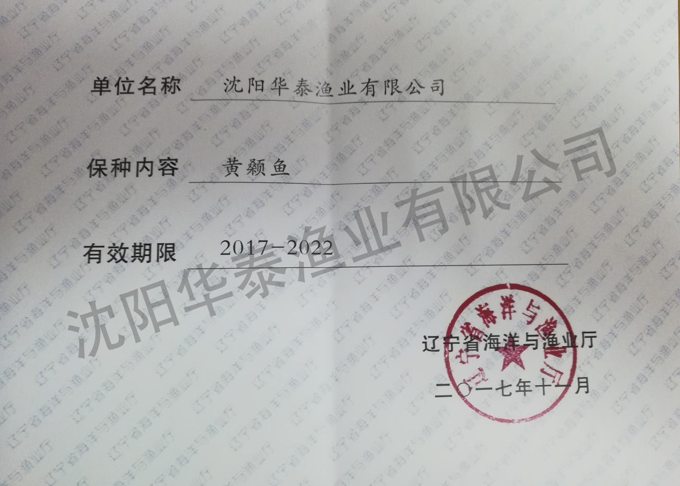 &#30343;&#20896;