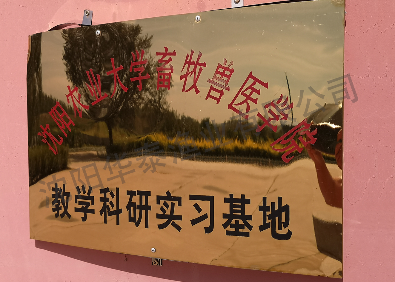 &#30343;&#20896;